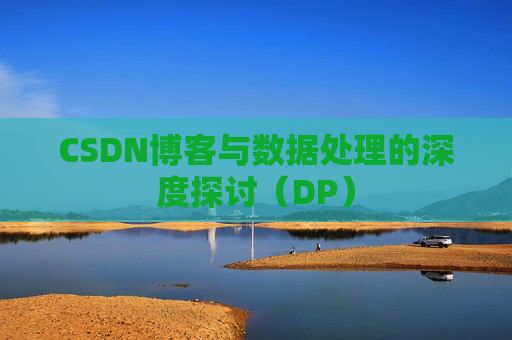 CSDN博客与数据处理的深度探讨（DP）
